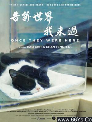 禁忌5回声高清在线播放封面